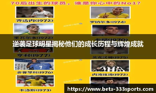 333体育官网
